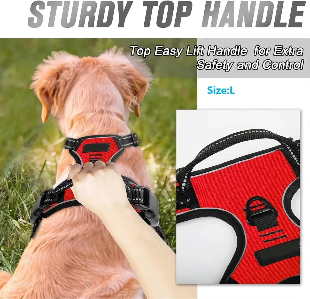 Comfy Walk and Play Dog Set