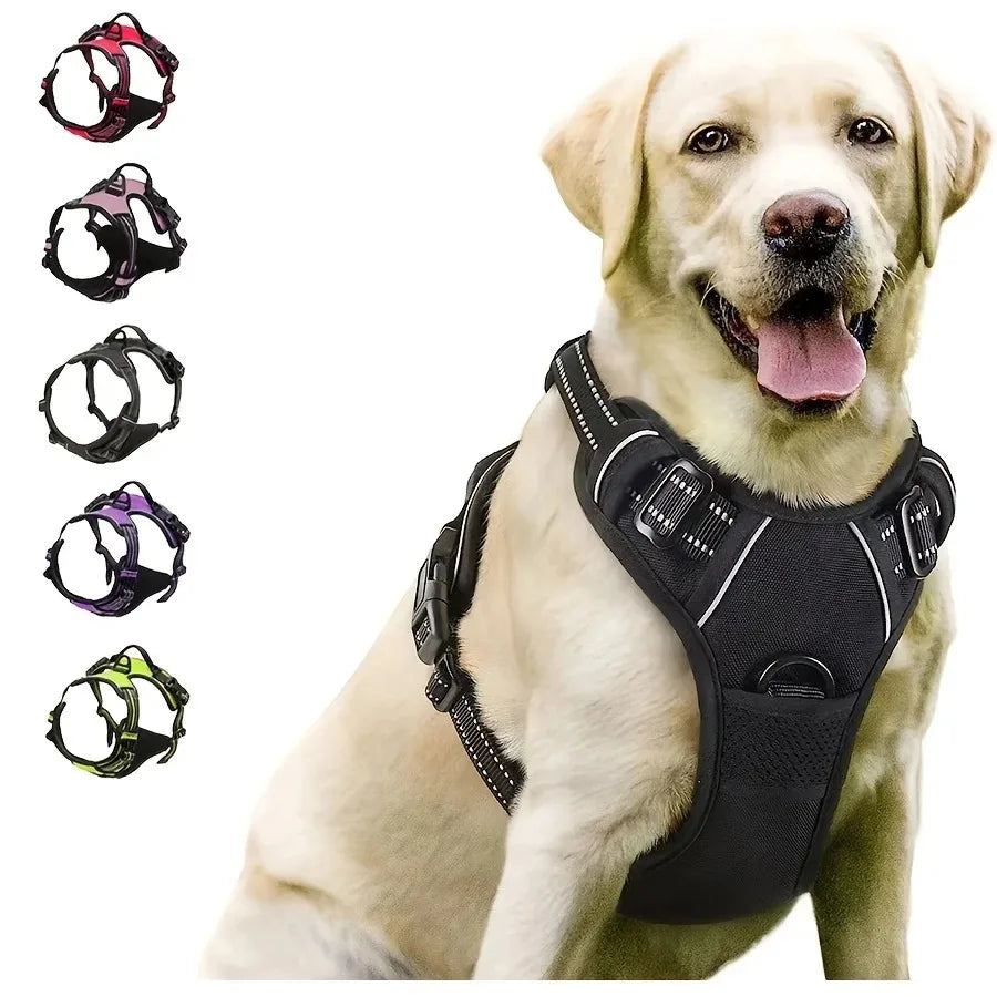 Comfy Walk and Play Dog Set