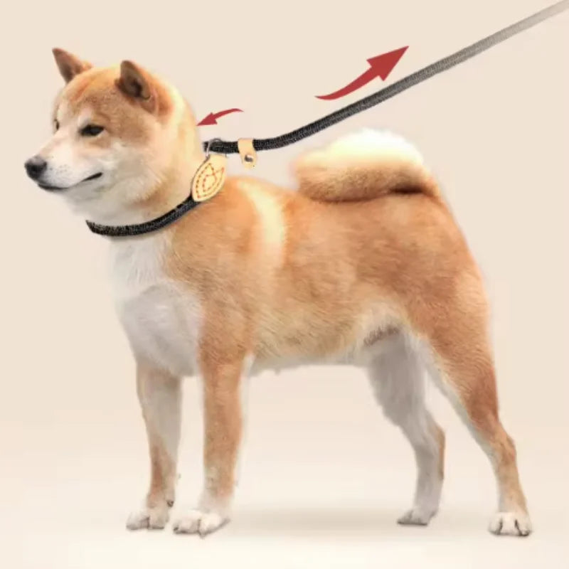 Rugged Everyday Dog Walk Harness