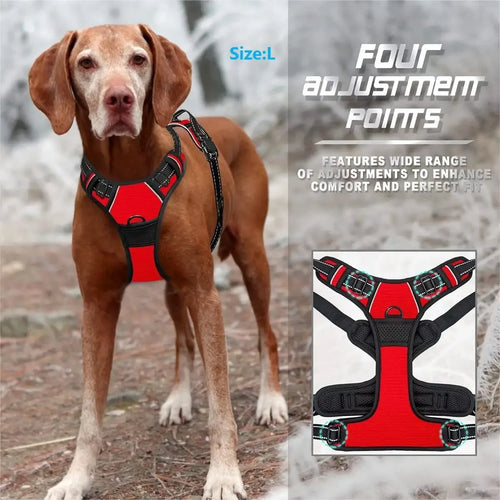 Comfy Walk and Play Dog Set