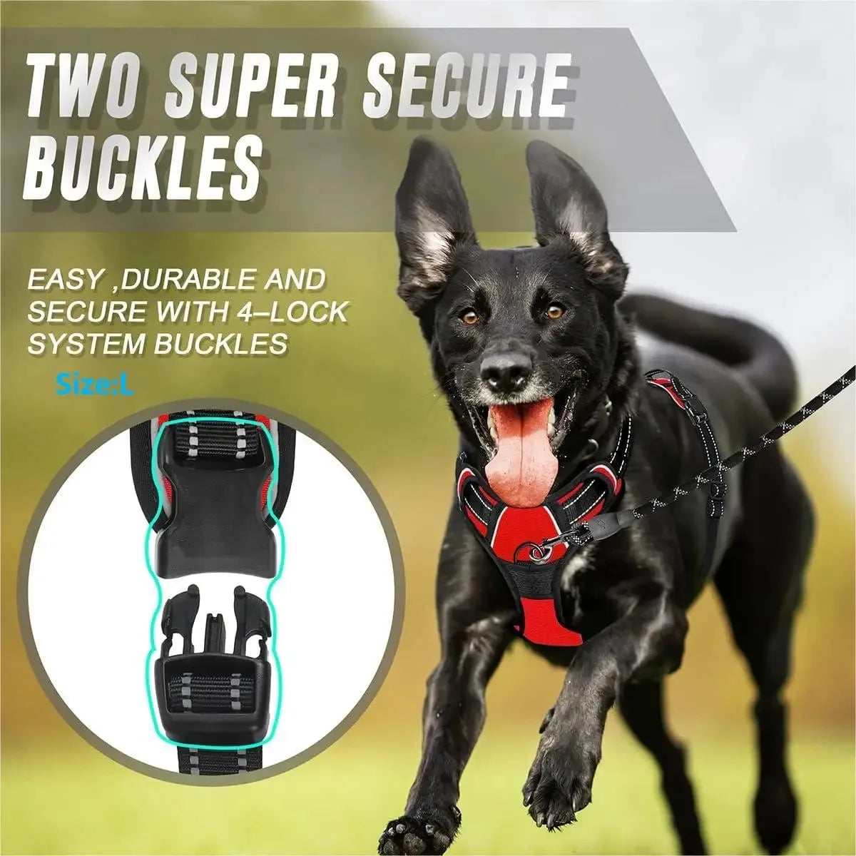 Comfy Walk and Play Dog Set