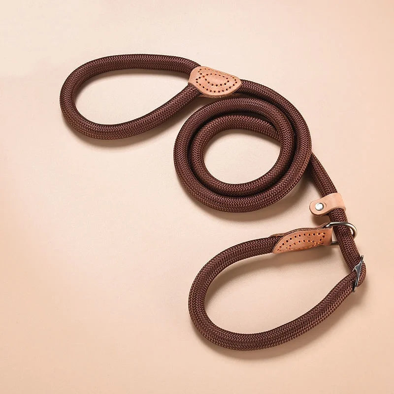 Rugged Everyday Dog Walk Harness