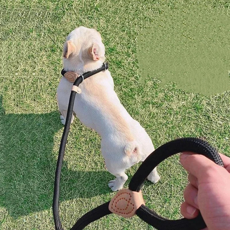 Rugged Everyday Dog Walk Harness