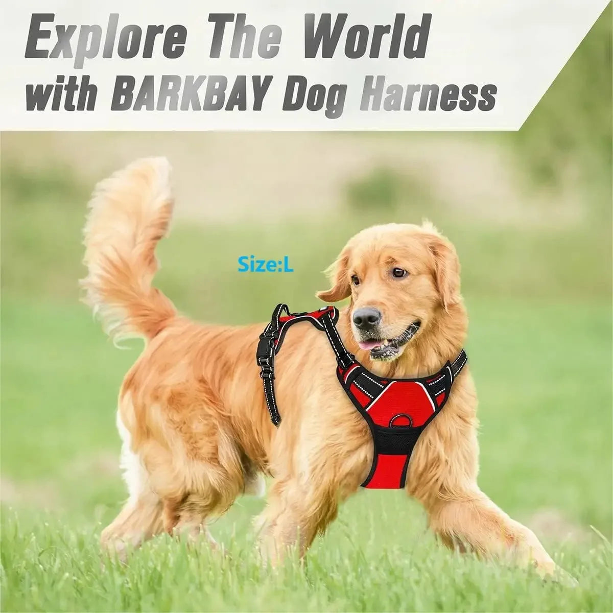 Comfy Walk and Play Dog Set