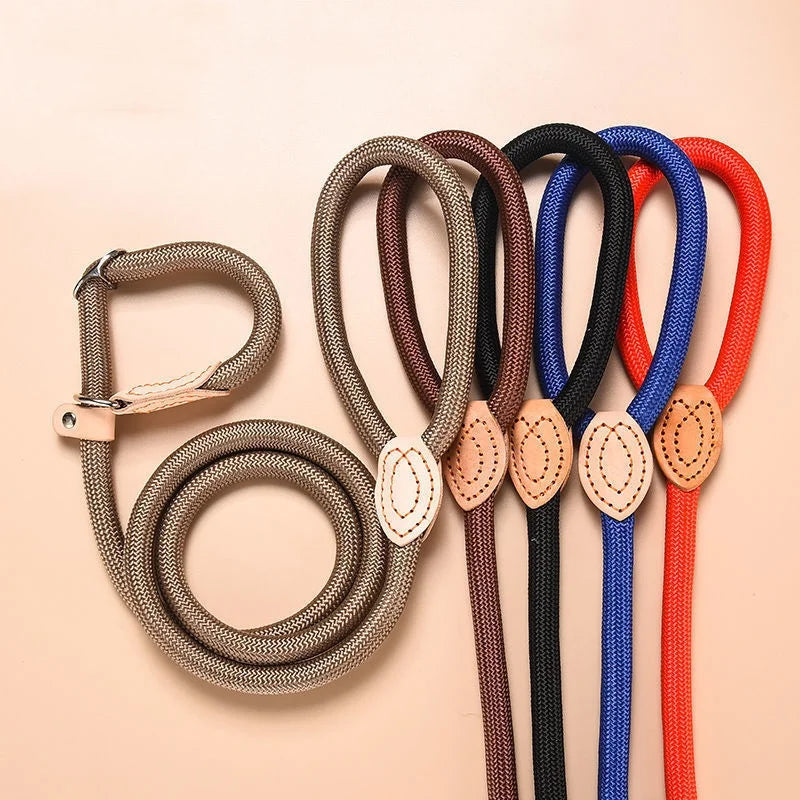 Rugged Everyday Dog Walk Harness